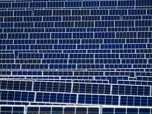 A field of solar panels